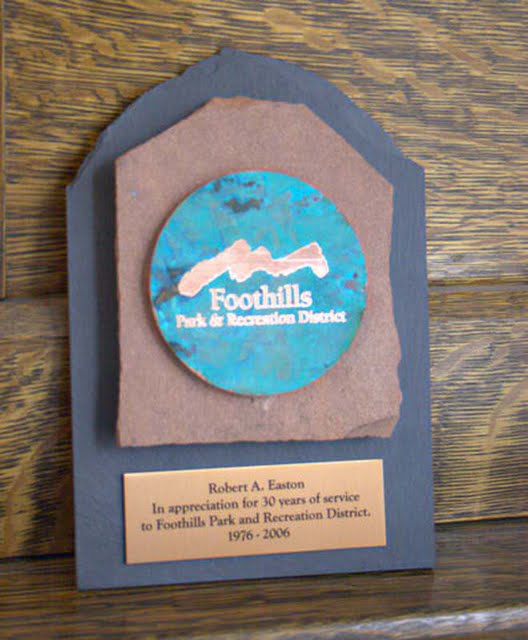 Metal & Stone Small Desktop Awards - Nature's Style Plaque