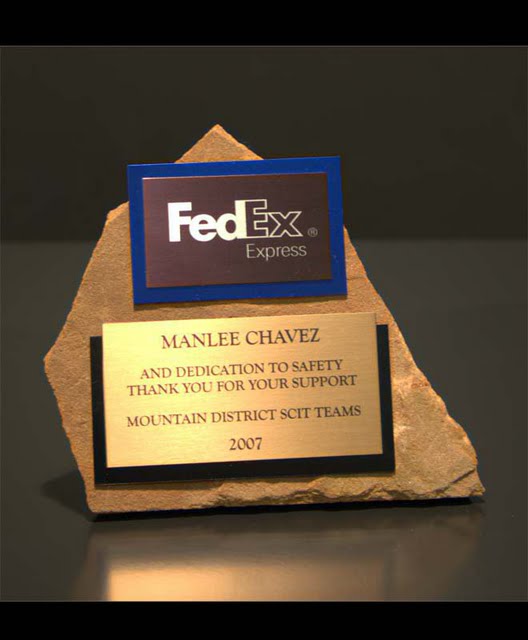 Metal & Stone Small Desktop Awards - Free Form Single Stone